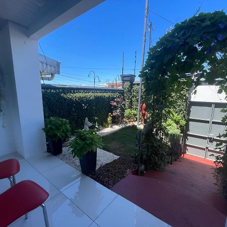 Alicia'S Place 10 Min From Airport Apartment Alajuela Екстериор снимка